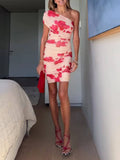 Chic Asymmetric Floral Print Mesh Mini Dress